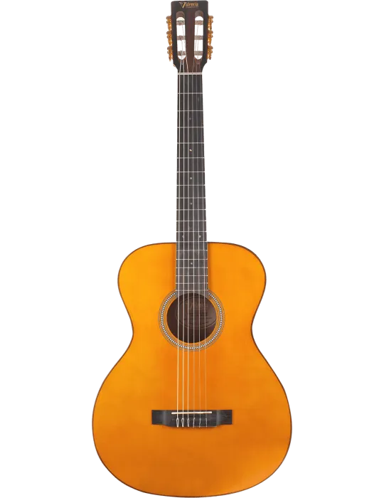 VALENCIA VA434-VNA | MusicGoodDeal
