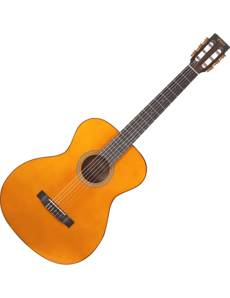 VALENCIA VA434-VNA | MusicGoodDeal