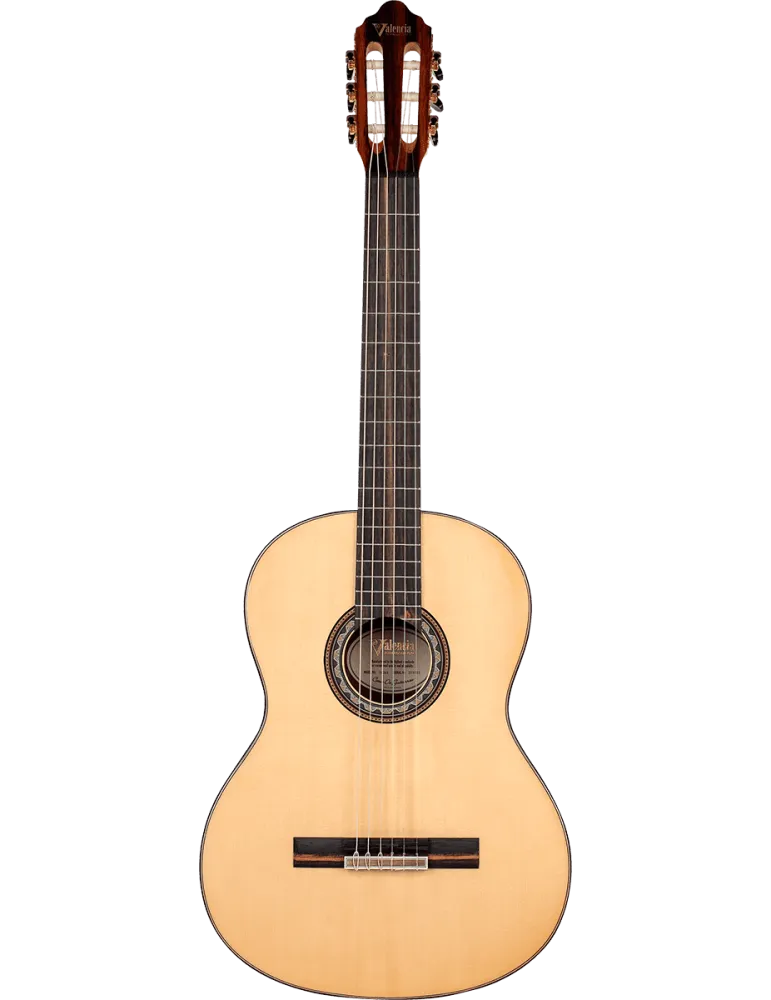 VALENCIA VC564 | MusicGoodDeal