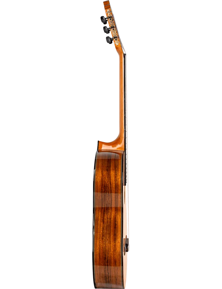 VALENCIA VC564 | MusicGoodDeal