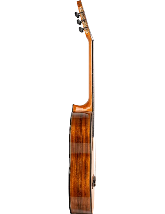 VALENCIA VC564 | MusicGoodDeal