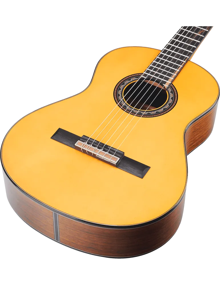 VALENCIA VC564 | MusicGoodDeal