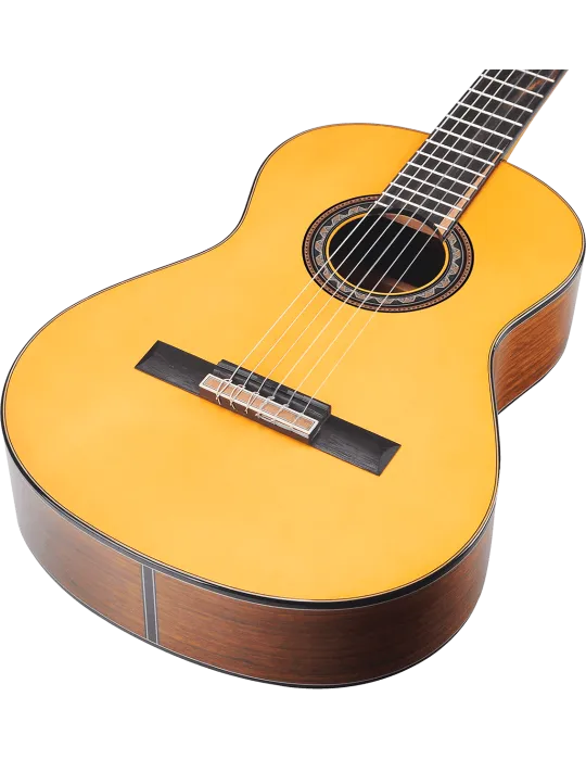 VALENCIA VC564 | MusicGoodDeal