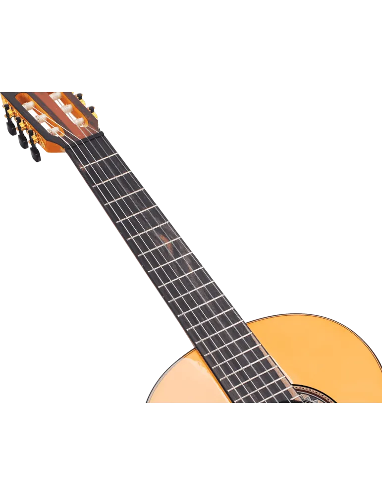 VALENCIA VC564 | MusicGoodDeal
