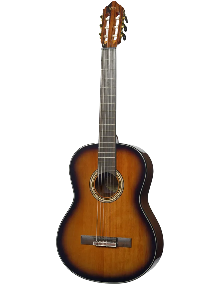 VALENCIA VC564-BSB | MusicGoodDeal