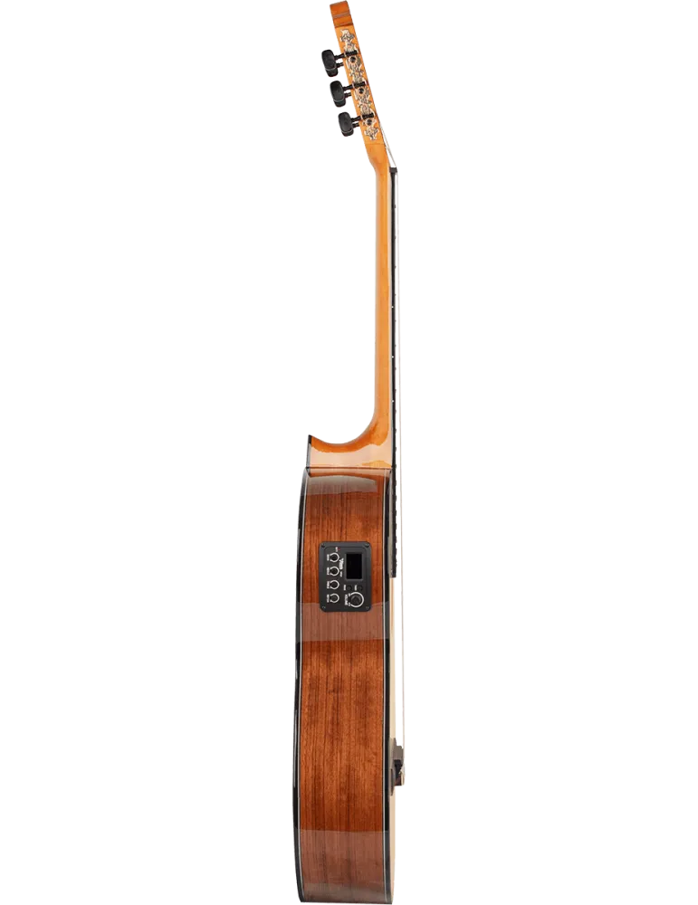 VALENCIA VC564CE | MusicGoodDeal