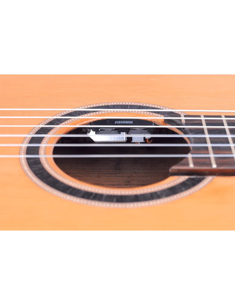 VALENCIA VC774TCE | MusicGoodDeal