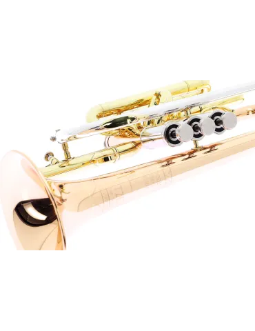 GETZEN 800DLX | MusicGoodDeal