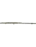  PEARL FLUTE 695R Silberkopf - Hohlschalen in einer Reihe, Ut-Pfote|MusicGoodDeal 