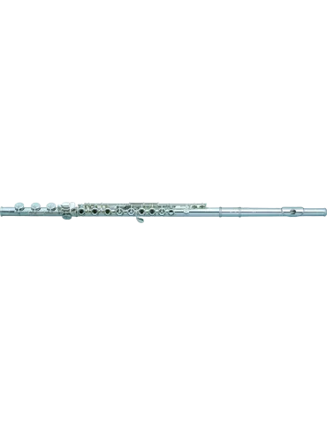PEARL FLUTE 695RB | MusicGoodDeal