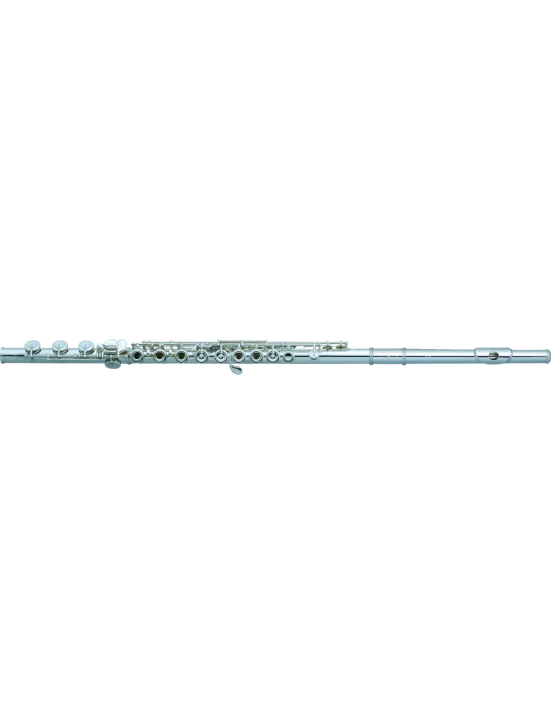 PEARL FLUTE 695RB | MusicGoodDeal