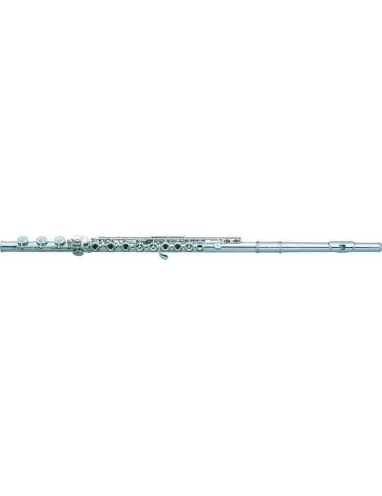 PEARL FLUTE 695RB | MusicGoodDeal