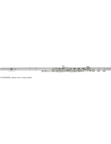  PEARL FLUTE CD925RB Kopf, Rohr und Schlüssel silber - Hohlplatten in Reihe, Si-Lasche|MusicGoodDeal 