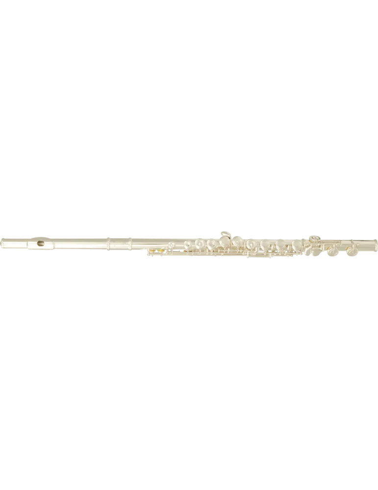  SML PARIS FL300E Ut - Volle Plateaus, versetzter Boden|MusicGoodDeal 