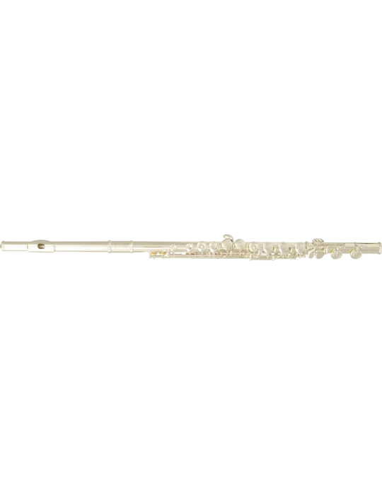  SML PARIS FL300E Ut - Volle Plateaus, versetzter Boden|MusicGoodDeal 