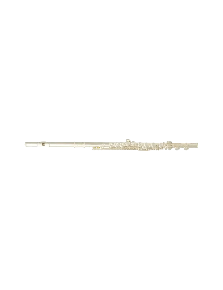 SML PARIS FL400RE Ut - Hohle Plateaus, versetzter Boden|MusicGoodDeal 