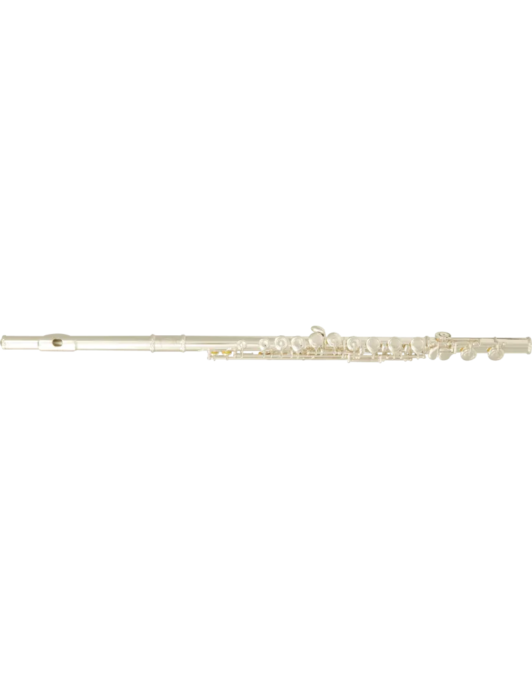  SML PARIS FL400E Ut - Volle Plateaus, versetzter Boden|MusicGoodDeal 