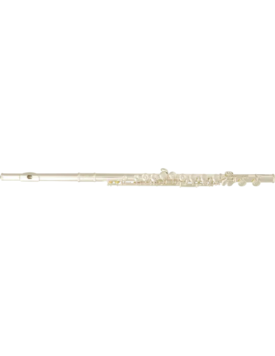  SML PARIS FL400E Ut - Volle Plateaus, versetzter Boden|MusicGoodDeal 