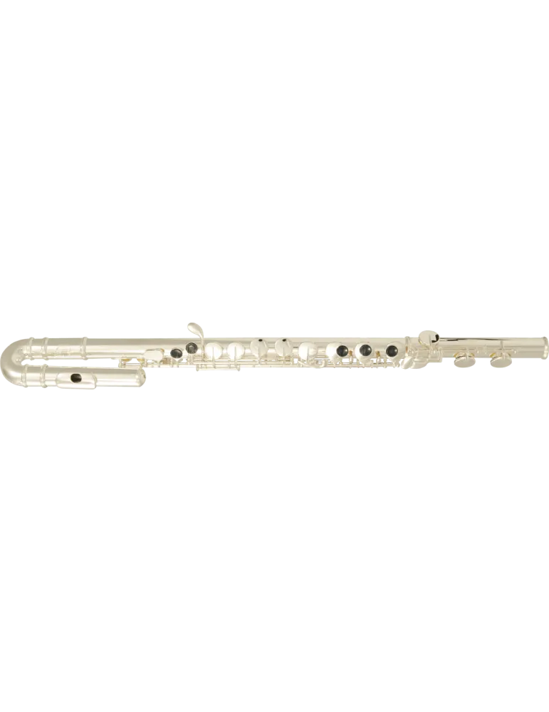  SML PARIS AFL200 SOL - Gerader Kopf + gebeugter Kopf|MusicGoodDeal 