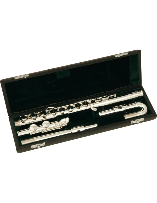 SML PARIS AFL200 SOL - Gerader Kopf + gebeugter Kopf|MusicGoodDeal 