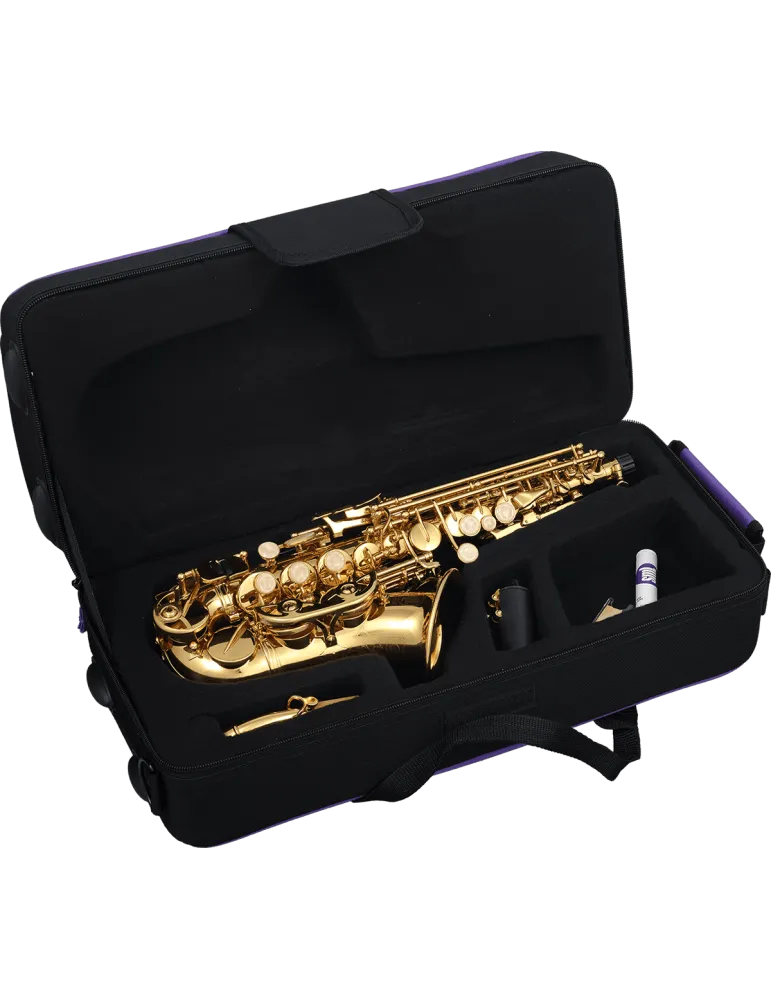  SML PARIS SC620 Messing lackiert|MusicGoodDeal 