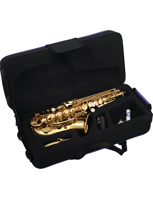  SML PARIS SC620 Messing lackiert|MusicGoodDeal 
