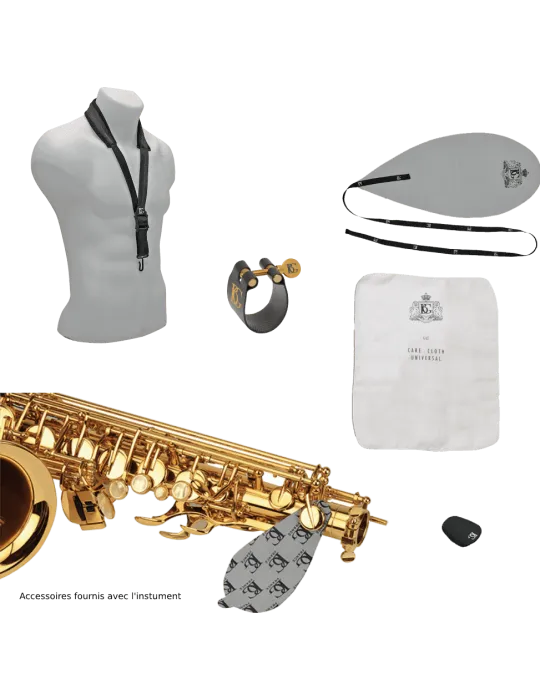  SML PARIS SC620 Messing lackiert|MusicGoodDeal 