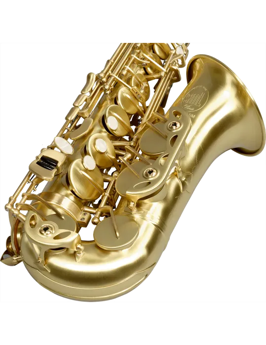  SML PARIS A420-II-BM MiB - Saxophon Eb Student, Gebürstet lackiert|MusicGoodDeal 