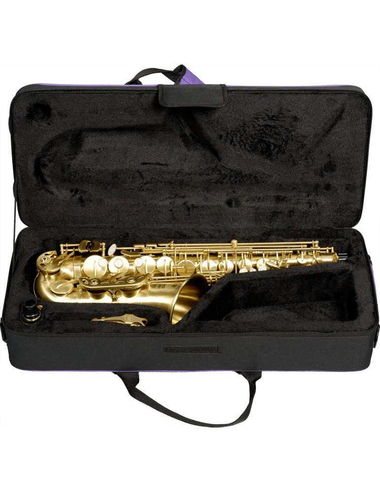  SML PARIS A420-II-BM MiB - Saxophon Eb Student, Gebürstet lackiert|MusicGoodDeal 