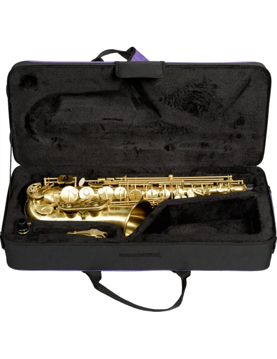  SML PARIS A420-II-BM MiB - Saxophon Eb Student, Gebürstet lackiert|MusicGoodDeal 