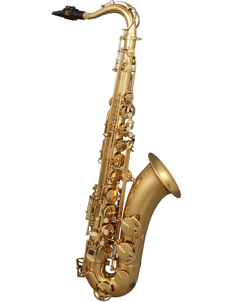  SML PARIS T420-II Messing lackiert|MusicGoodDeal 