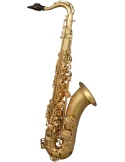  SML PARIS T420-II Messing lackiert|MusicGoodDeal 