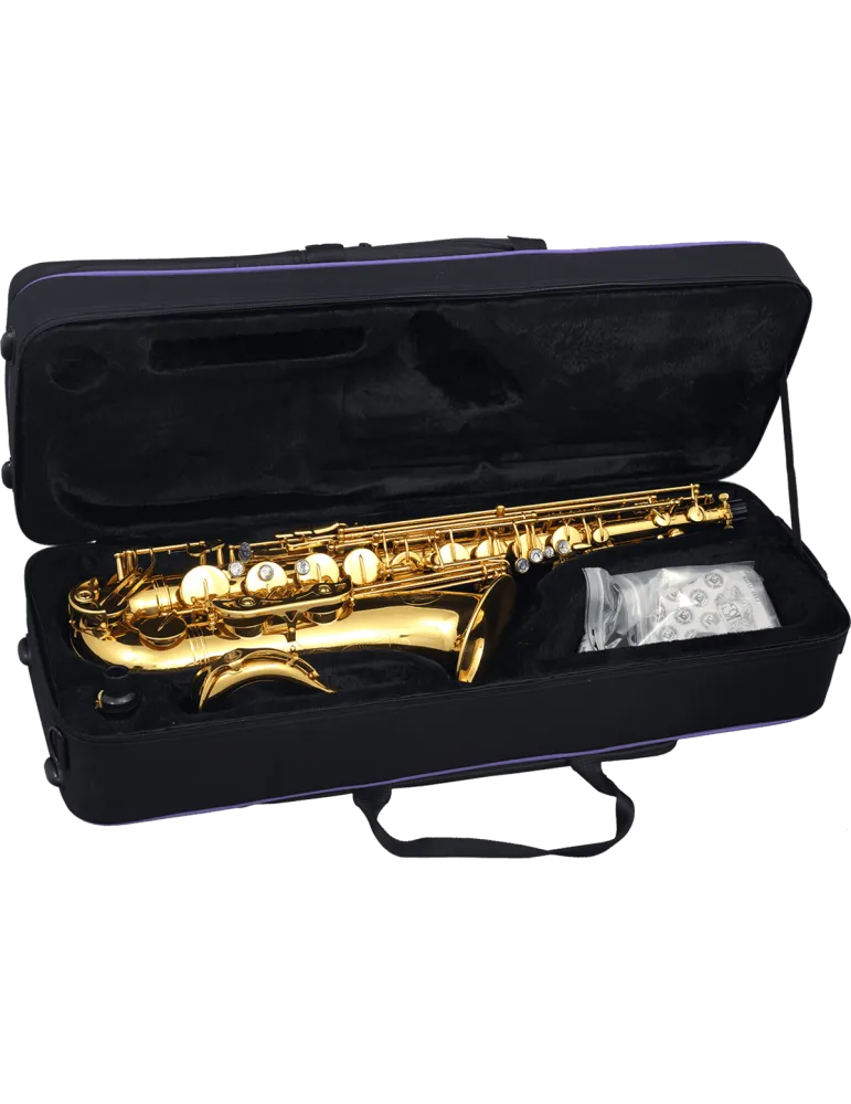  SML PARIS T620-II Messing lackiert|MusicGoodDeal 