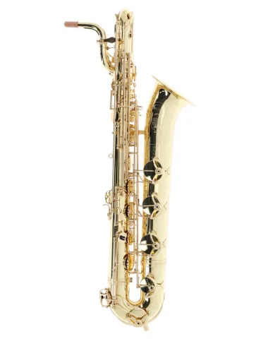 SML PARIS B420 | MusicGoodDeal
