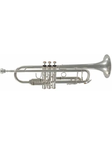 SML PARIS TP500S | MusicGoodDeal