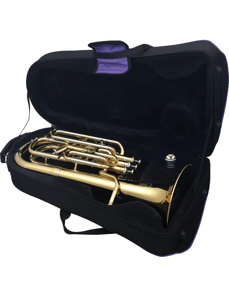  SML PARIS BA900 Messing lackiert|MusicGoodDeal 