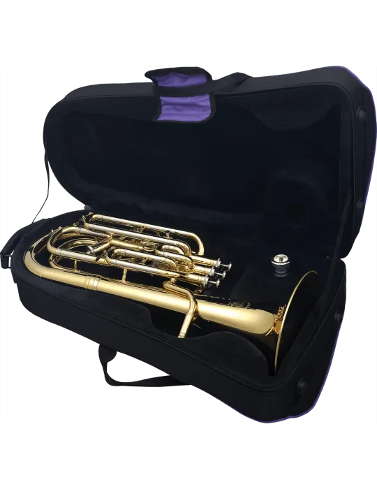  SML PARIS BA900 Messing lackiert|MusicGoodDeal 
