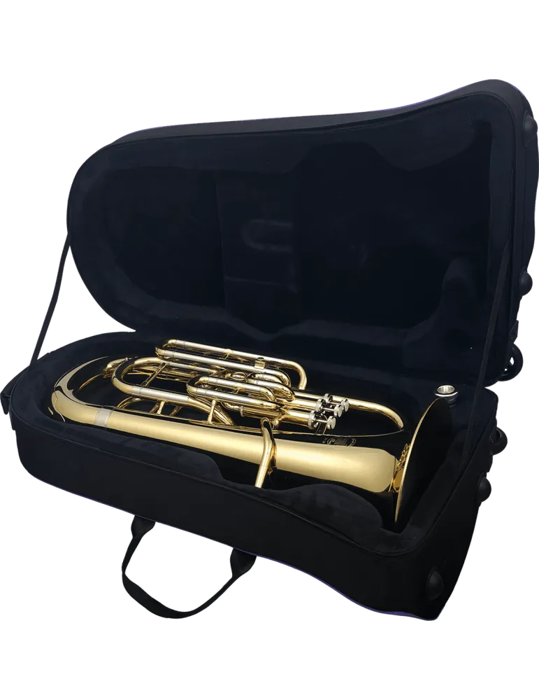  SML PARIS EU50 Messing lackiert|MusicGoodDeal 