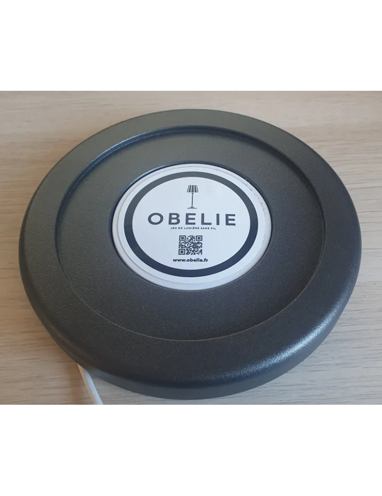 OBELIE CHARG-SOLO | MusicGoodDeal
