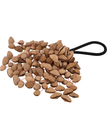  PEARL PBSHKENL Ethnisch - Kenari Nut 7" Shaker|MusicGoodDeal  2