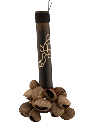  PEARL PBPGBH12 Ethnisch - Pangi Nut Shaker mit Bambusgriff|MusicGoodDeal 