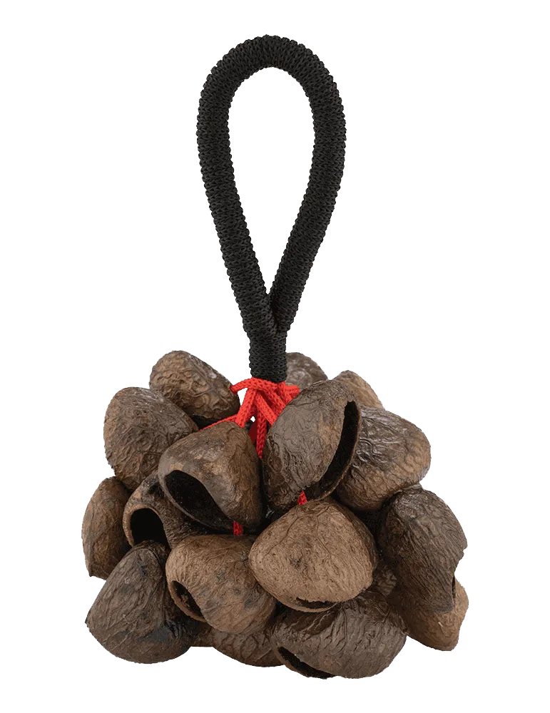  PEARL PBPGRH14 Ethnisch - Pangi Nut Shaker mit Griff|MusicGoodDeal 