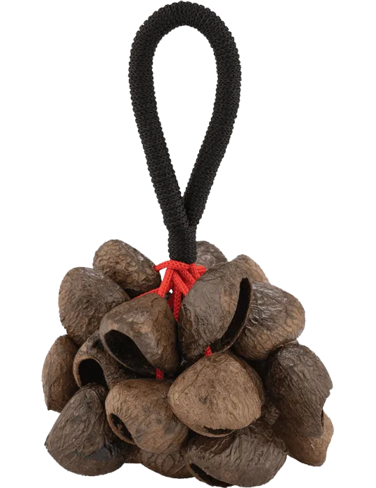  PEARL PBPGRH14 Ethnisch - Pangi Nut Shaker mit Griff|MusicGoodDeal 