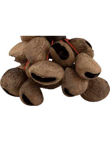  PEARL PBPGRH14 Ethnisch - Pangi Nut Shaker mit Griff|MusicGoodDeal  2