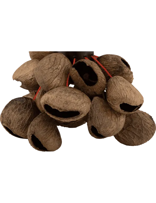 PEARL PBPGRH14 Ethnisch - Pangi Nut Shaker mit Griff|MusicGoodDeal 