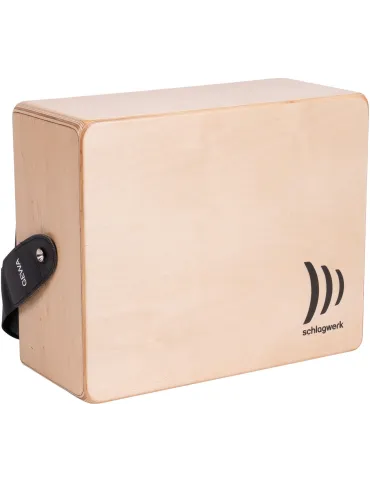 SCHLAGWERK RC400 | MusicGoodDeal