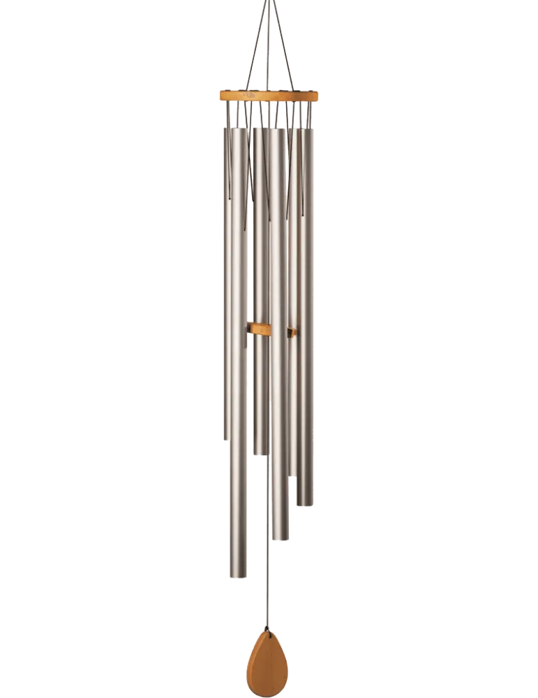  SCHLAGWERK CH540M Shiva Shakti|MusicGoodDeal 