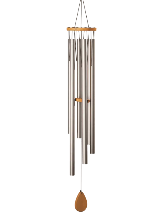  SCHLAGWERK CH540M Shiva Shakti|MusicGoodDeal 