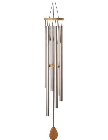  SCHLAGWERK CH940M Shiva Shakti|MusicGoodDeal 