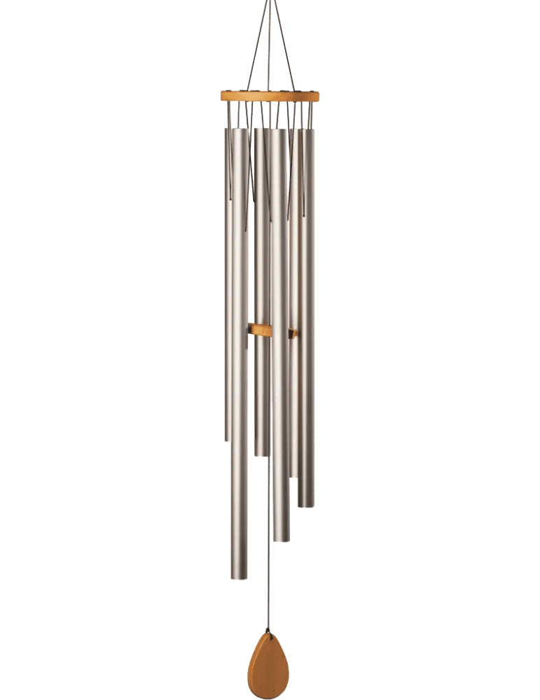  SCHLAGWERK CH940M Shiva Shakti|MusicGoodDeal 